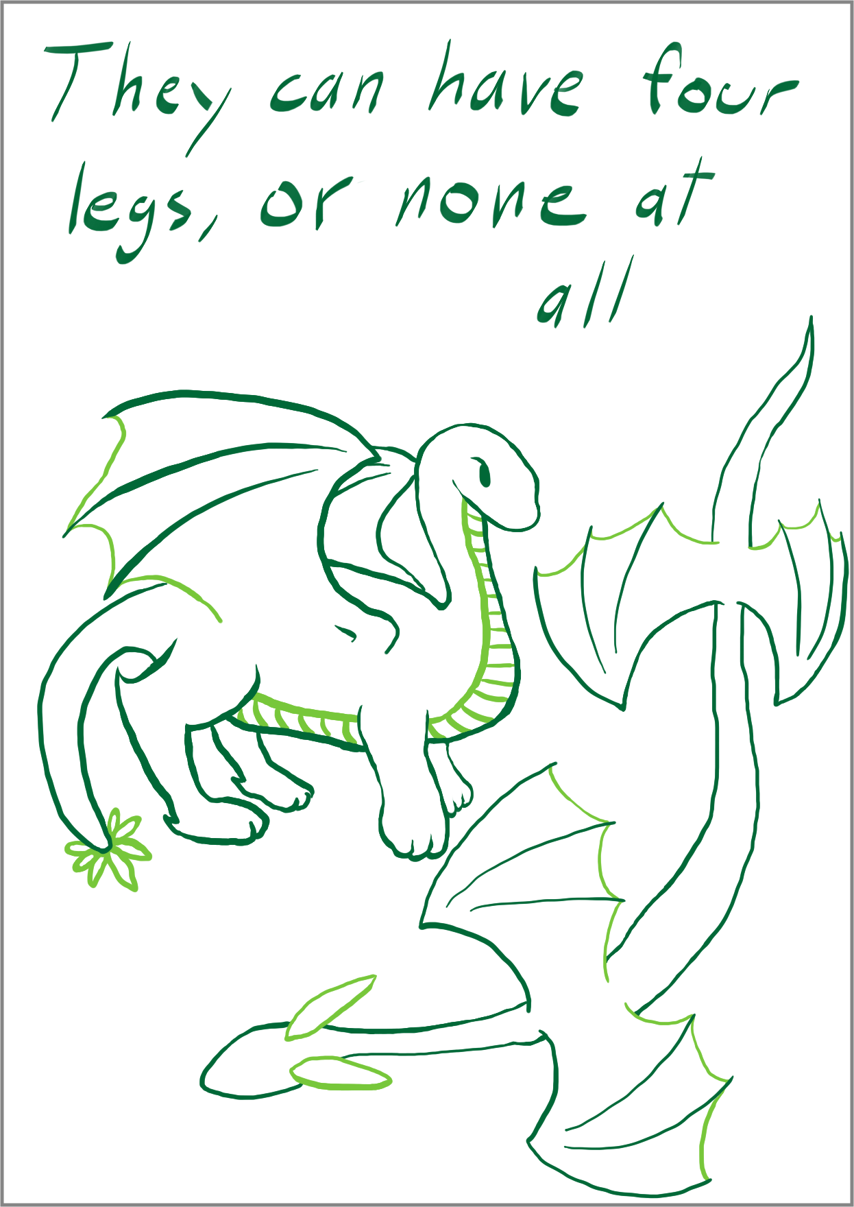 'They can have four legs, or none at all' a dragon with four legs and two wings over a dragon with no legs and four wings, lineart